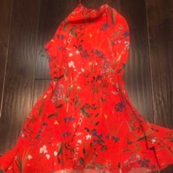 Backstage mini red floral halter dress - Picture 3 of 5